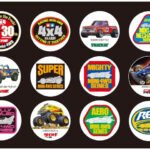 Tamiya 67031 Mini4WD 30th Anniv. Badge Set