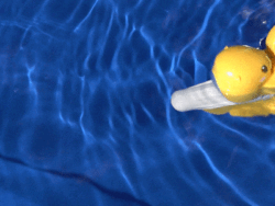 Tamiya 70250 Swimming Sea Otter：圖片 2