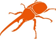 Stag beetle illustration