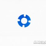 Tamiya 13454767 RC Spur Gear for TRF417